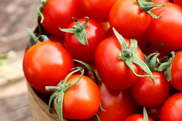 تصدير طماطم كرزية بصناديق إلي جميع أنحاء العالم