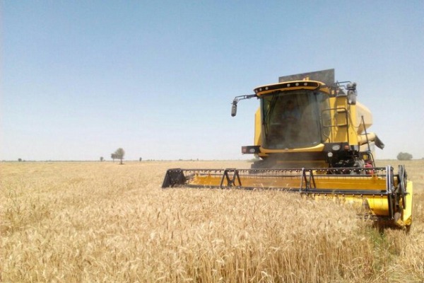 إنتاج آلة حصاد القمح بأحدث التقنيات