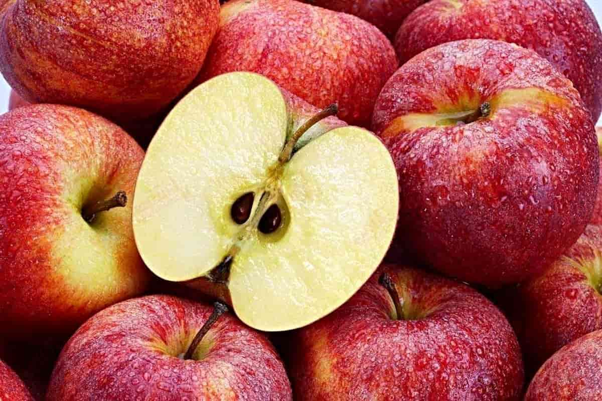 سعر التفاح اللبناني اليوم