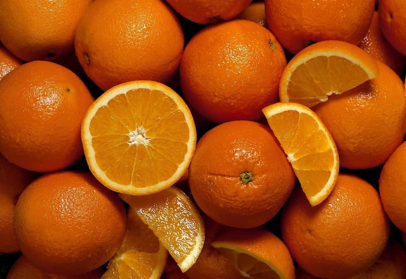 تجارة أفضل أنواع البرتقال في العالم