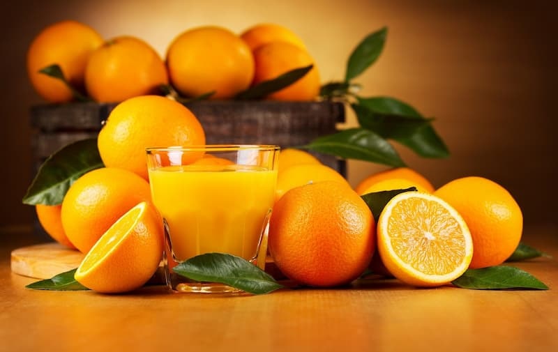 تصدير أنواع البرتقال العالم اليوم