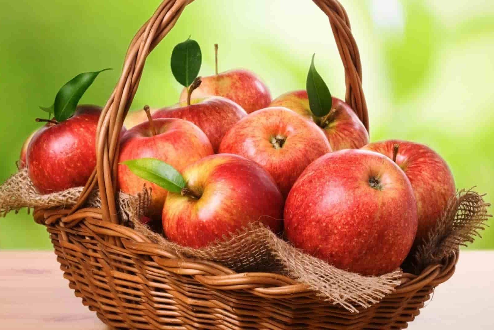 سعر+فوائد+أضرار التفاح