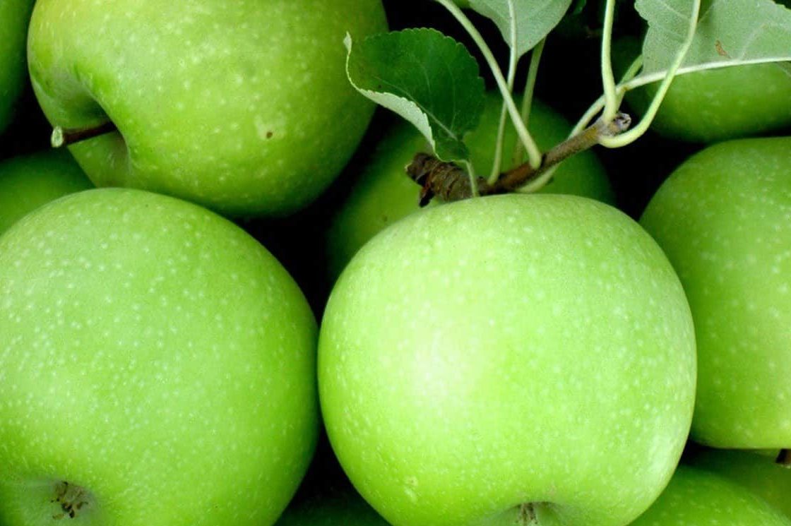 سعر وفوائد التفاح الأخضر للتنحيف