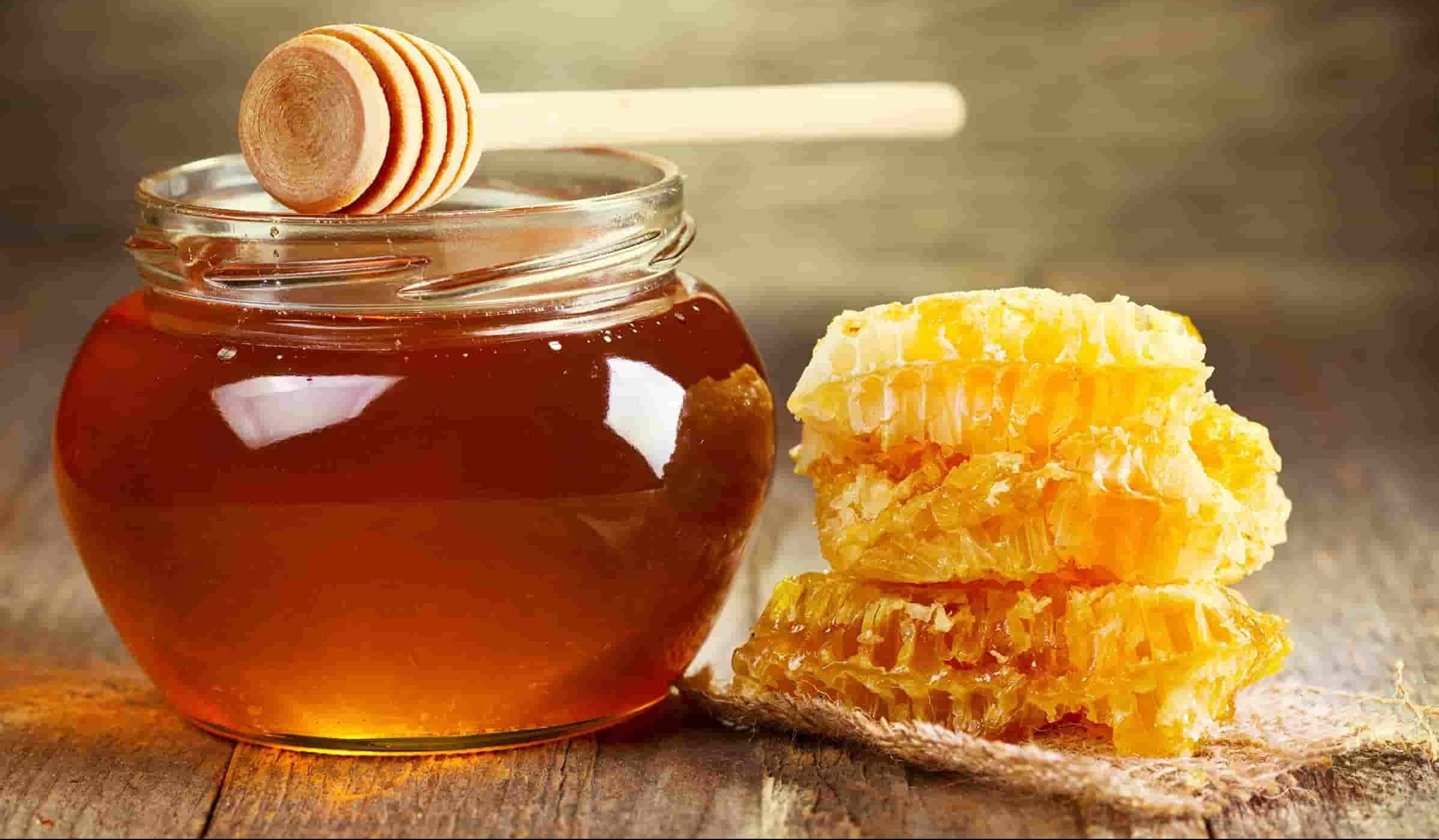 فوائد انتاج عسل السدر