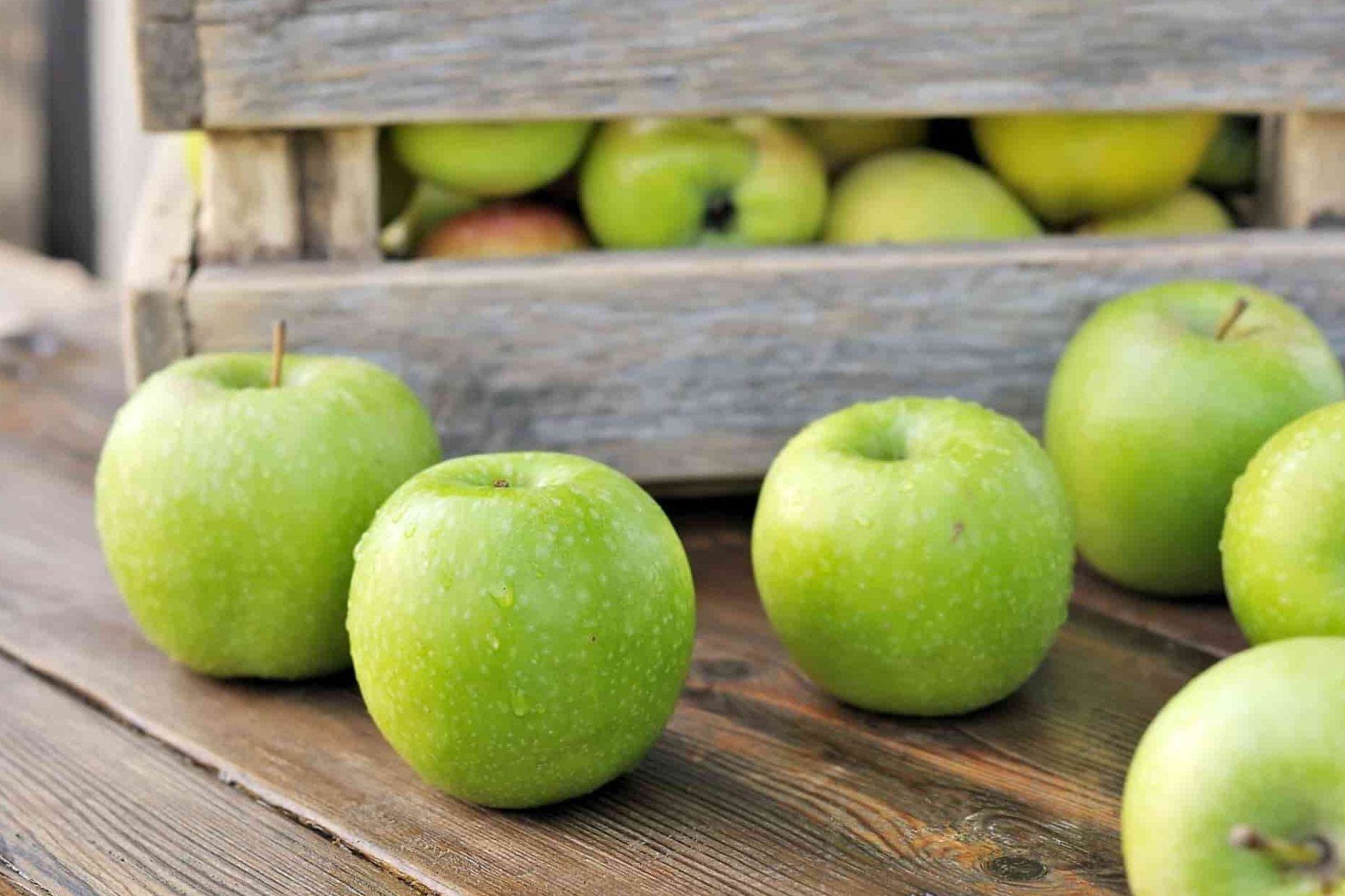 سعر التفاح الأخضر + فوائده واضراره
