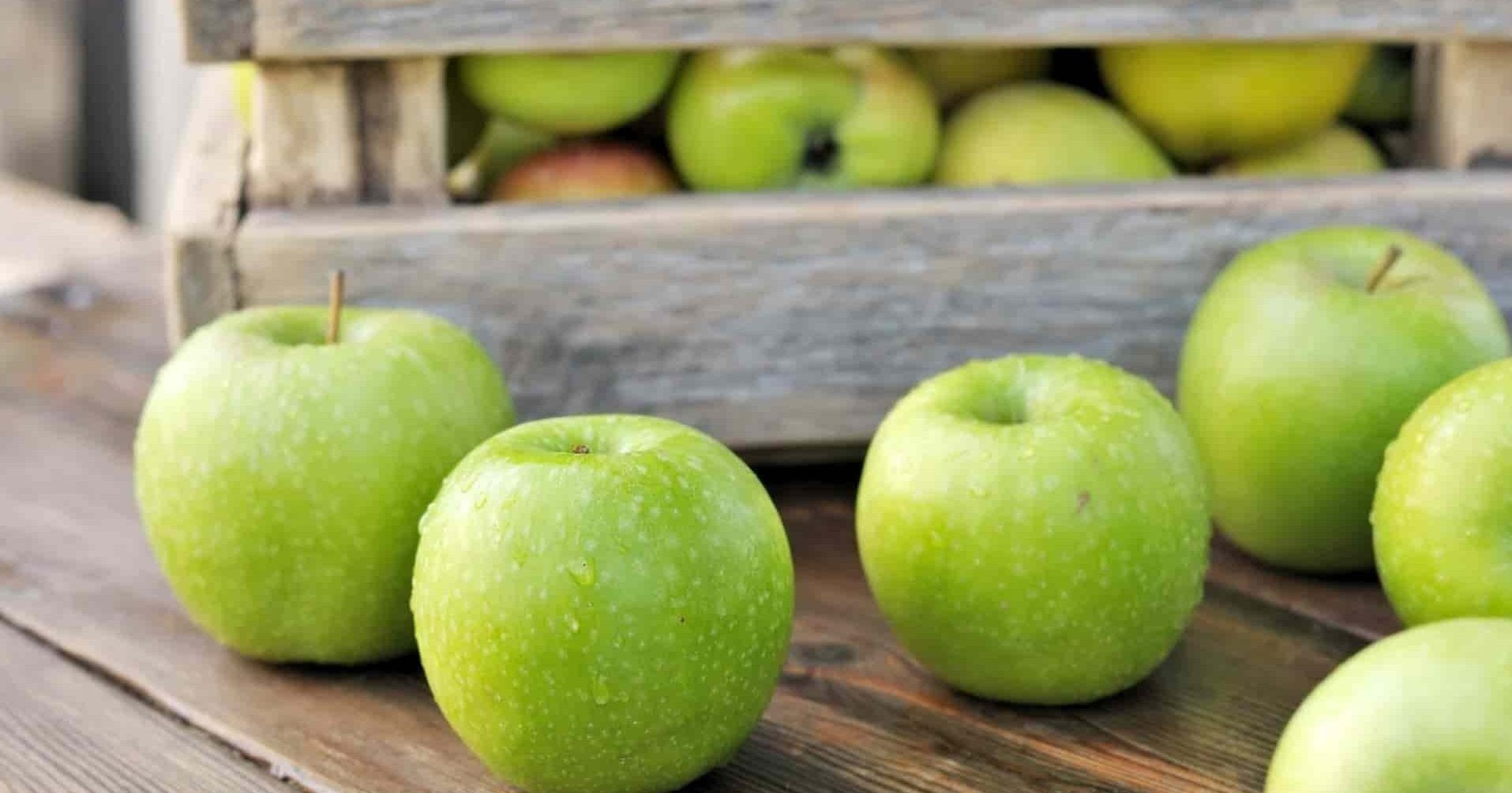 انتاج و فوائد افضل انواع التفاح الاخضر