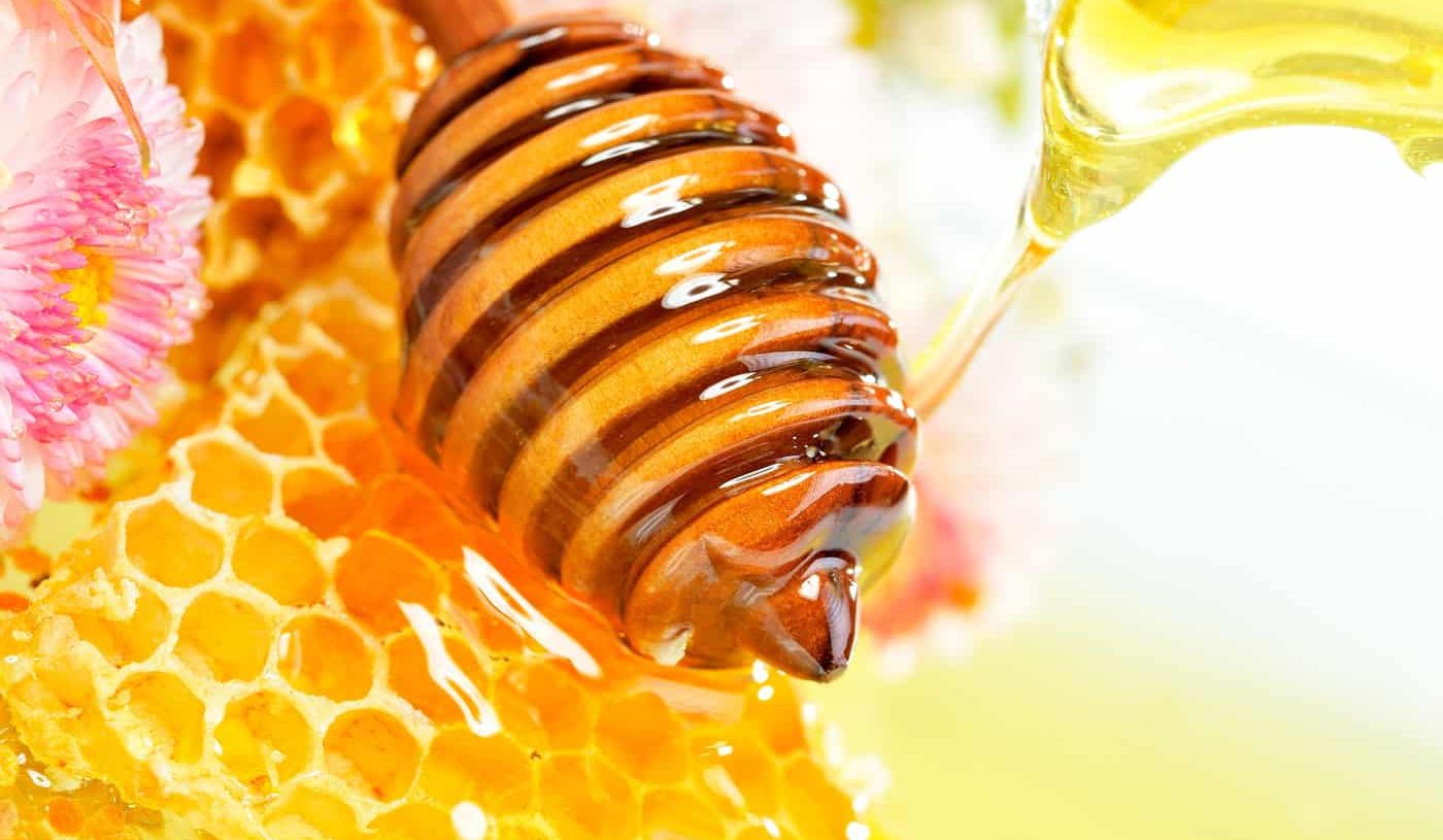 سعر انواع عسل السدر الاصلي