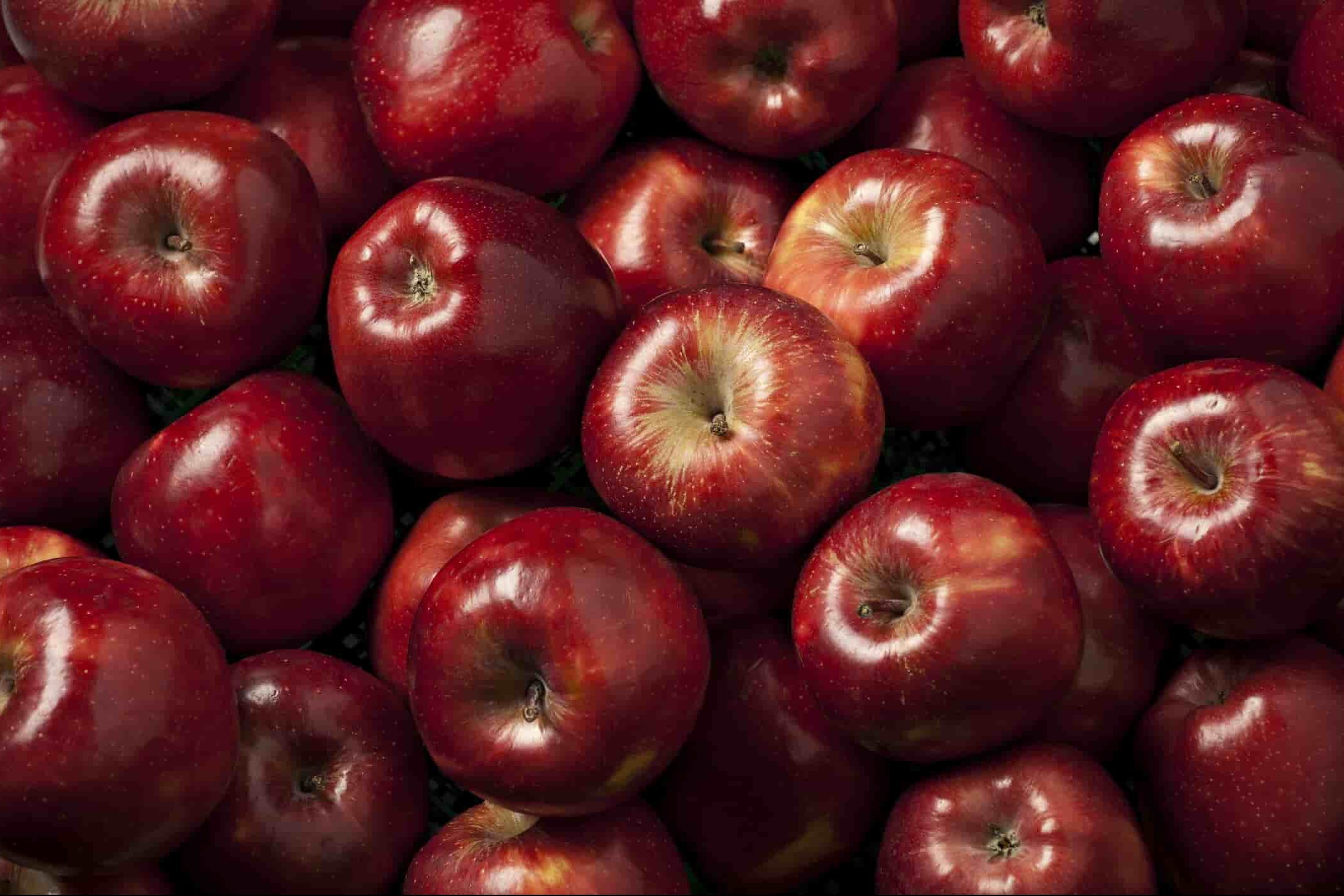 سعر انواع التفاح الاحمرالممتاز
