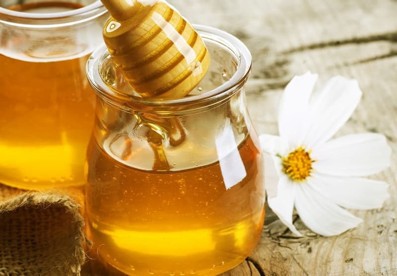 تجارة عسل البرسيم الأصلي وفوائده