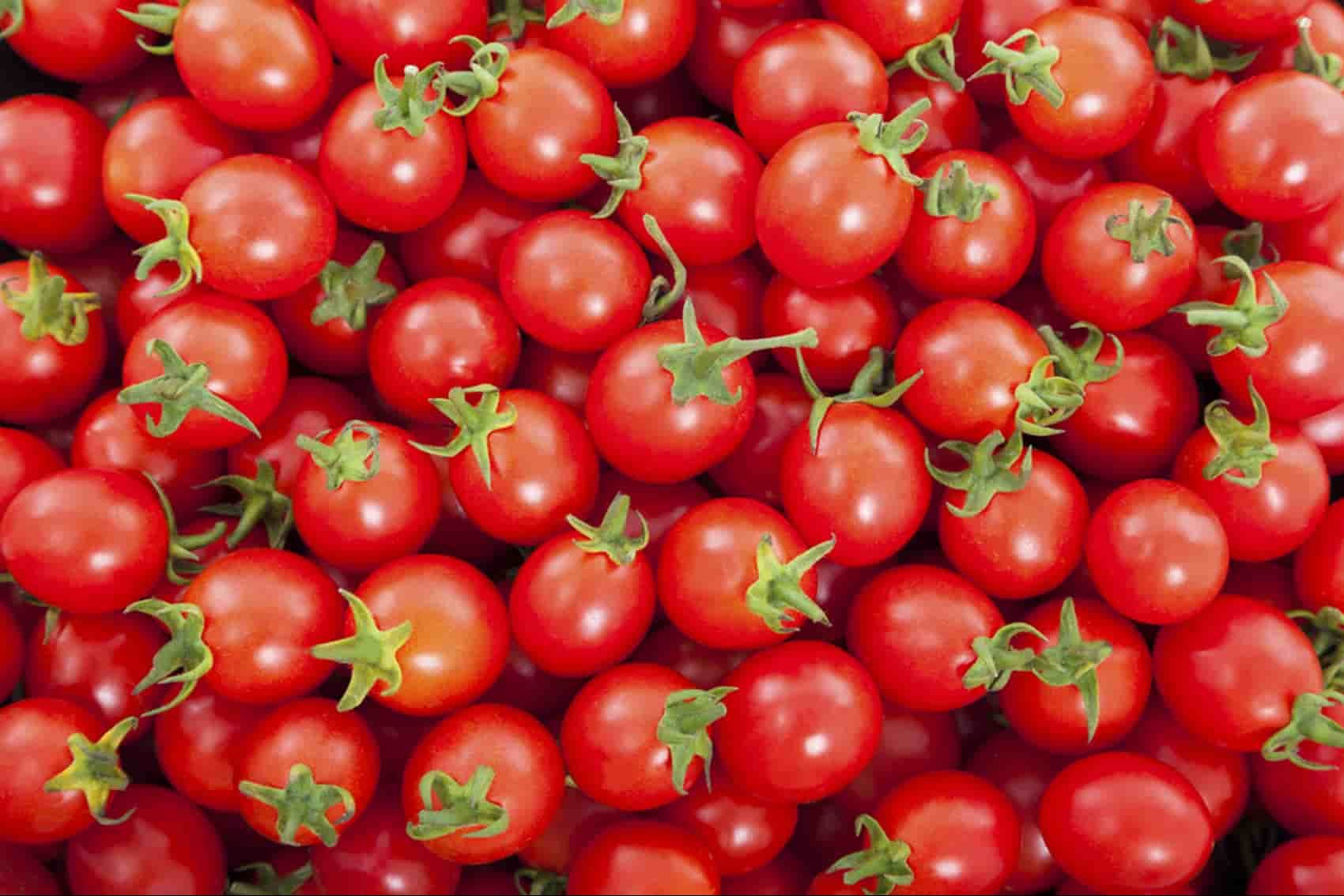 استخدامات الطماطم المجففة بزيت الزيتون