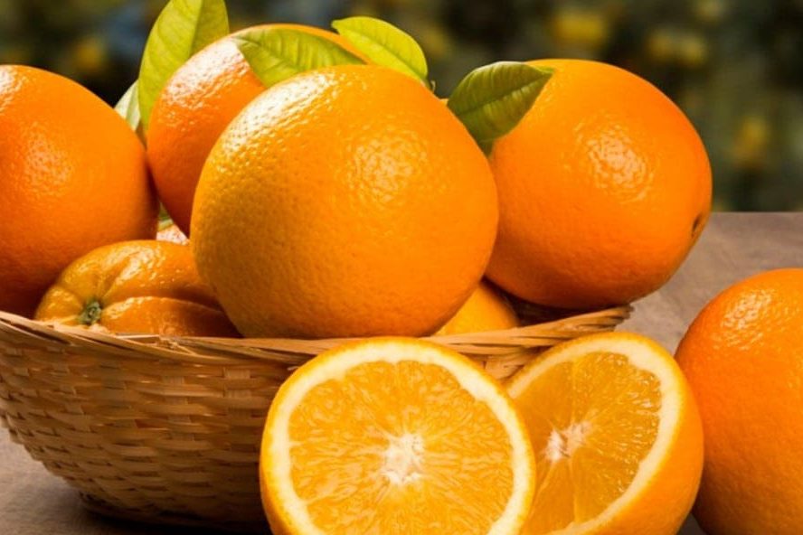 سعر انواع البرتقال الممتاز