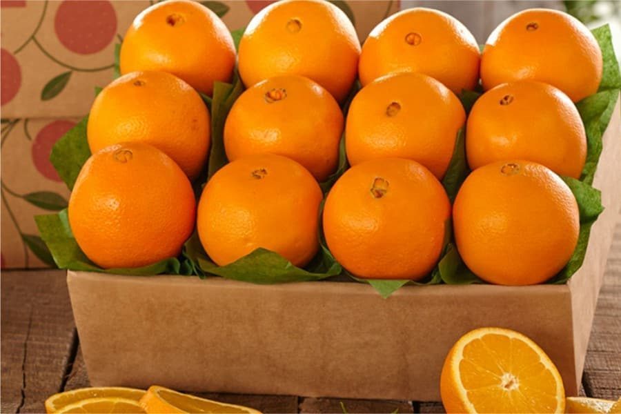 سعر البرتقال الصیفی الیوم