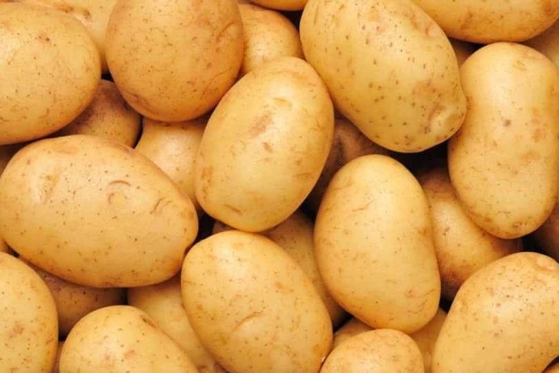 سعر البطاطس الاصفر الصغير في العراق