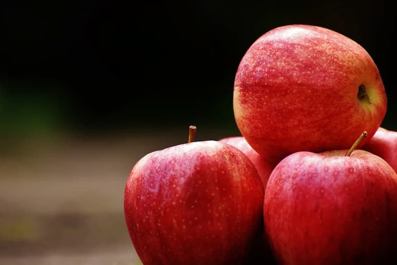 افضل مكونات انواع التفاح لتصدير