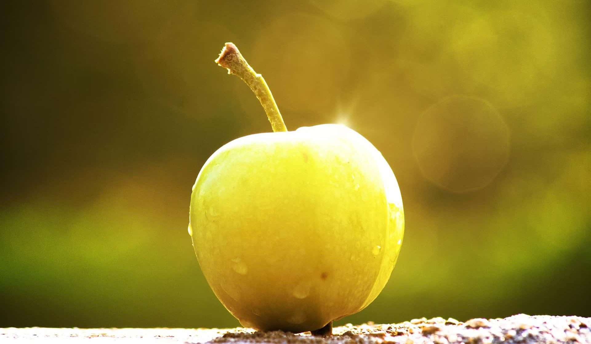 سعر و فوائد التفاح الأصفر للرجيم
