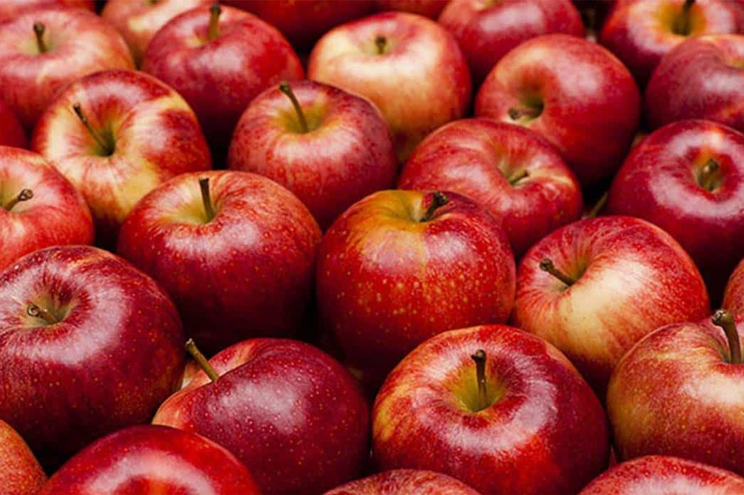 انتاج انواع التفاح بألوان مختلفة