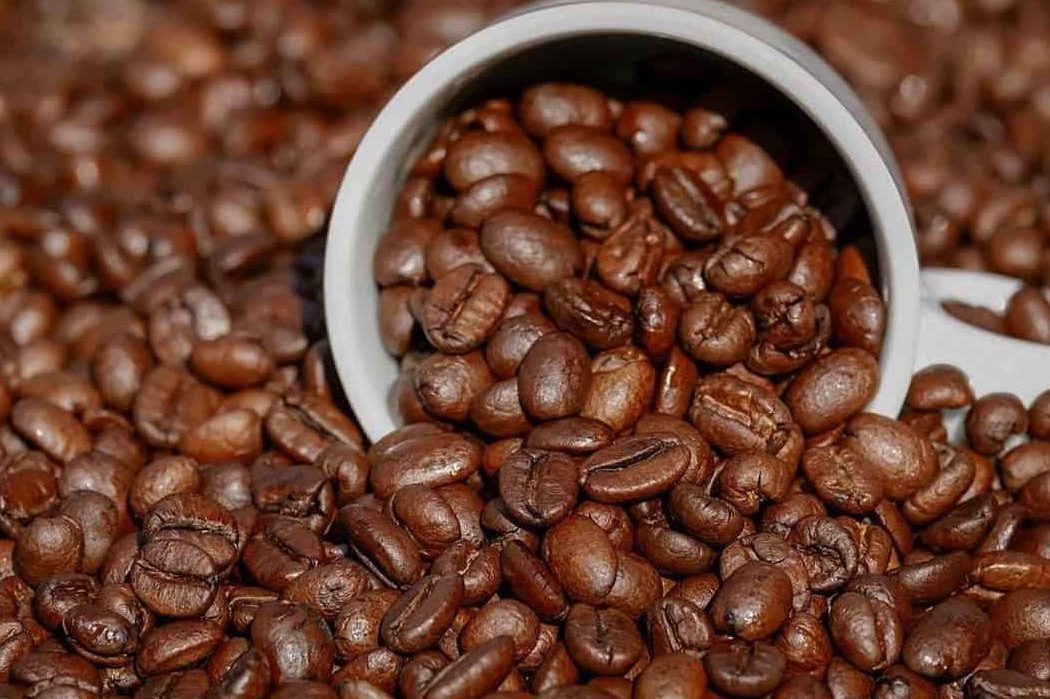 أسعار أفضل أنواع بن القهوة العربية