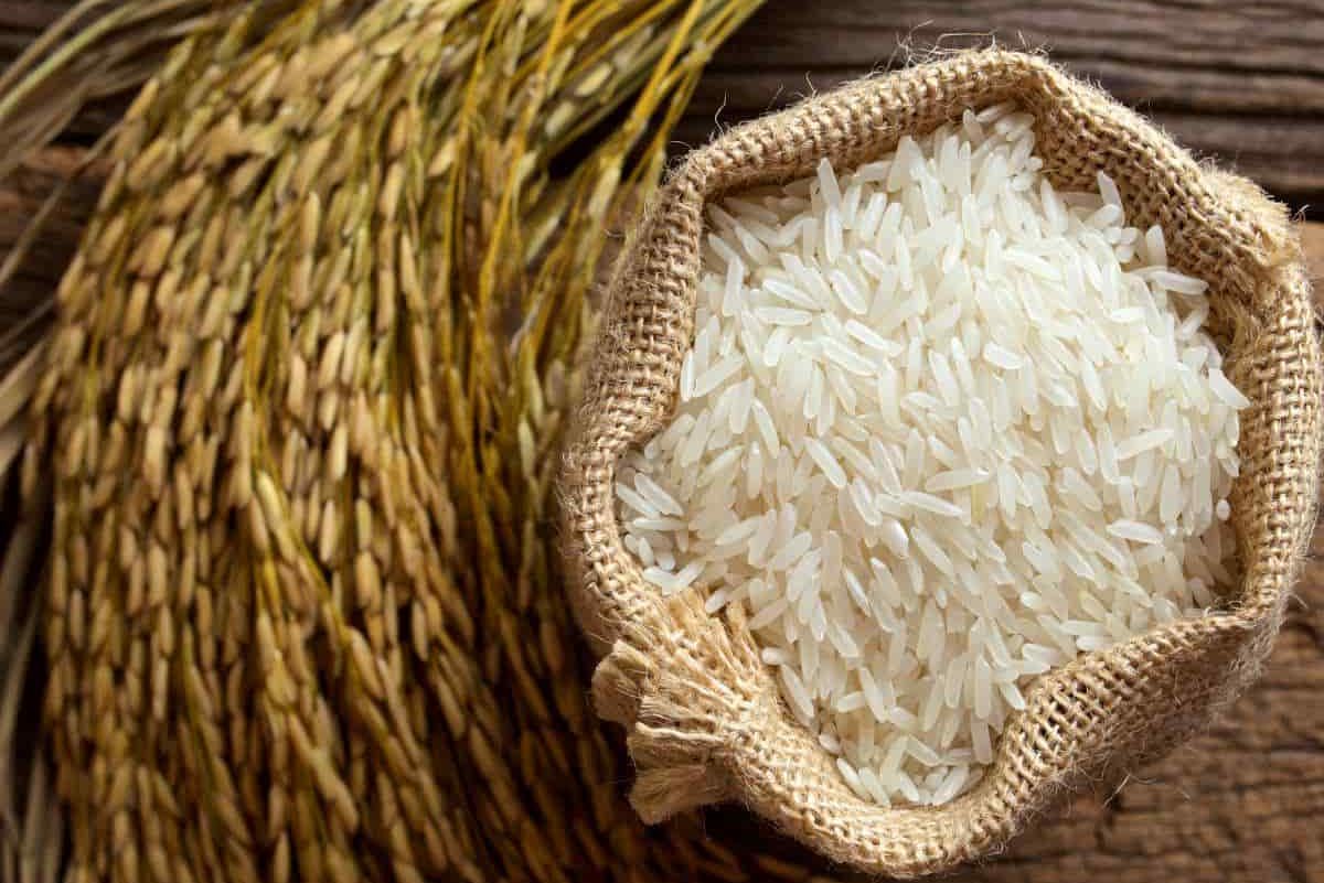 سعر طن الأرز البسمتي الهندي 2023