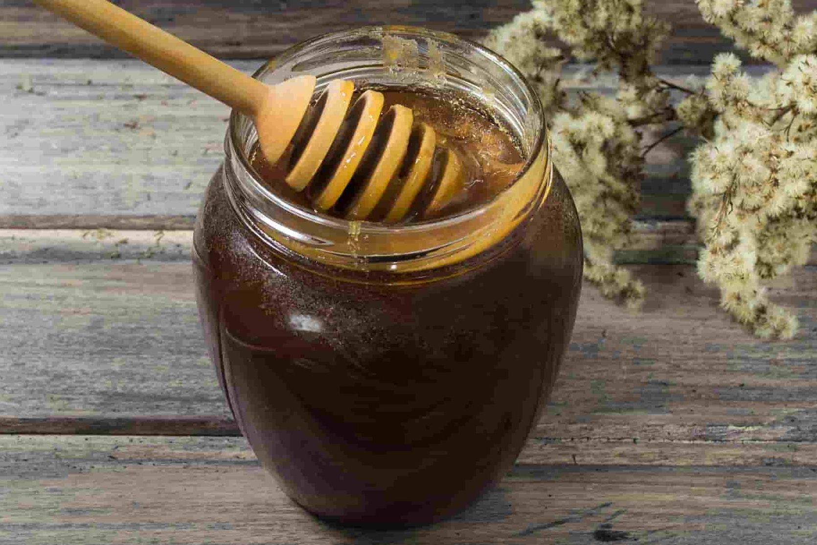 سعر انتاج العسل الاسود في مصر