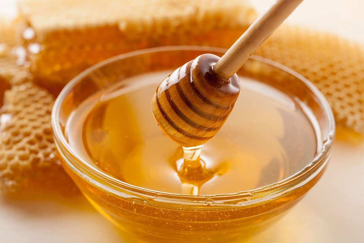 سعر عسل النحل البري الأصلي وخواصه الطبية
