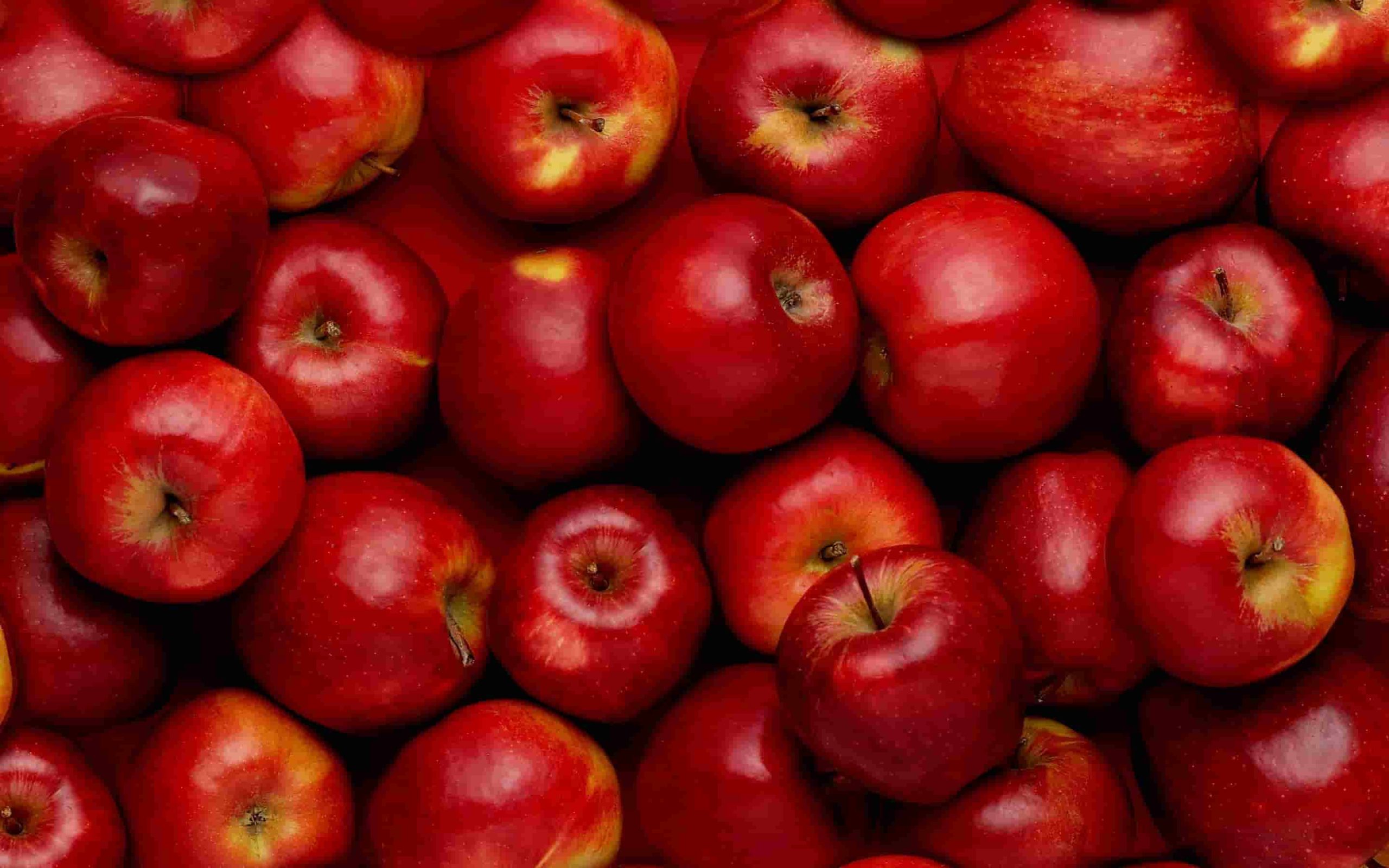 فوائد التفاح الأحمر للبشرة ورفع حب الشباب