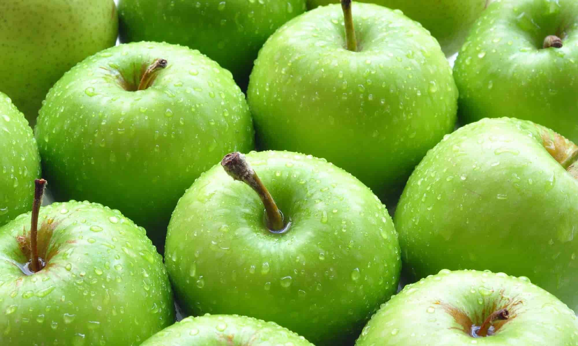 سعر فاكهة التفاح الاخضر