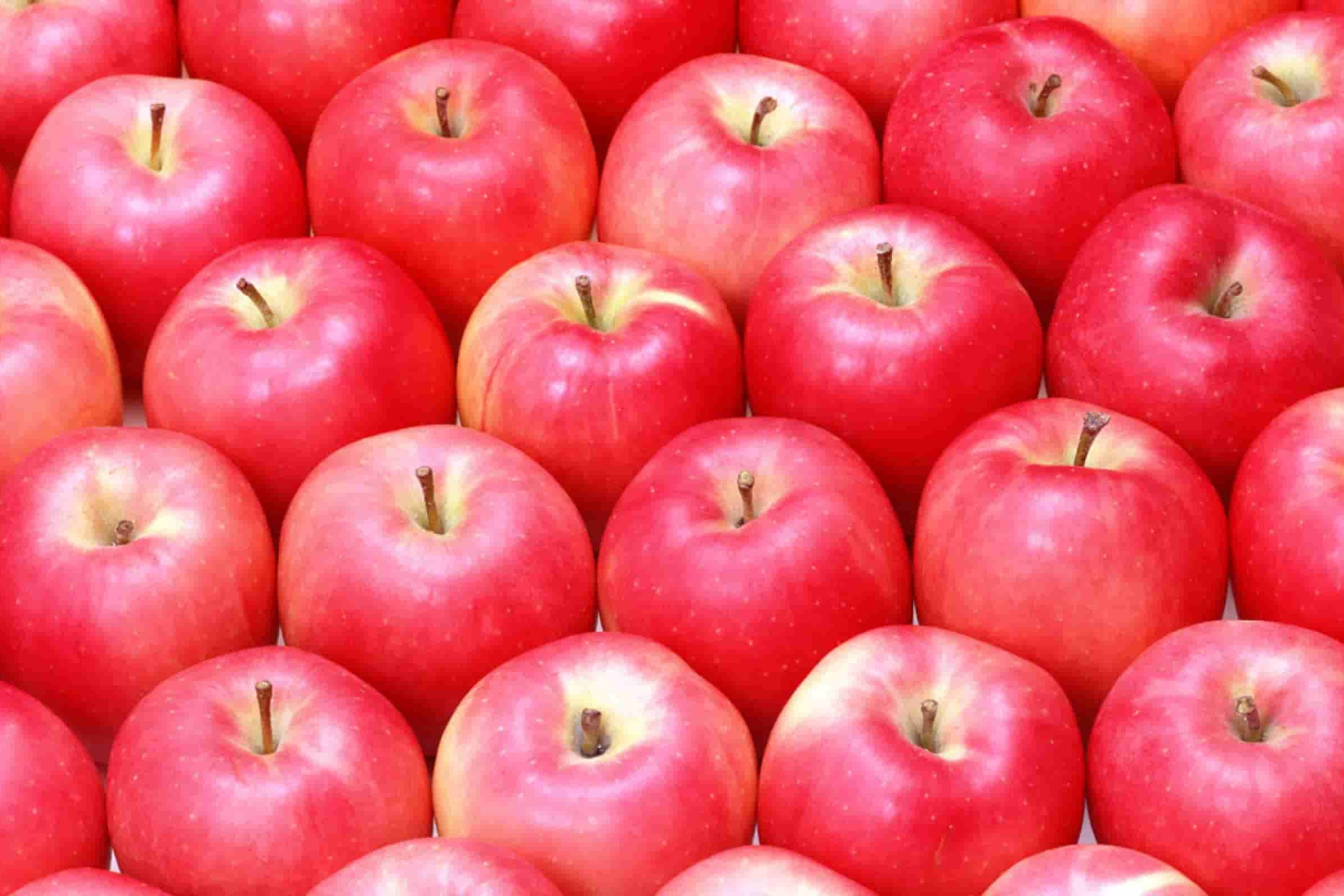إنتاج التفاح في العالم