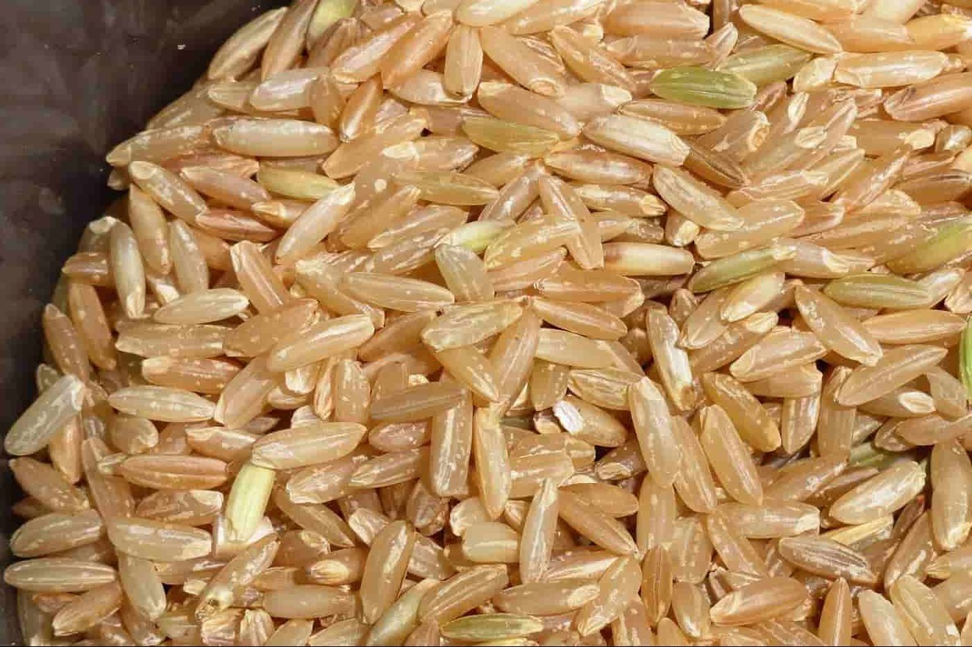 سعر أفضل أنواع الأرز البني المصري