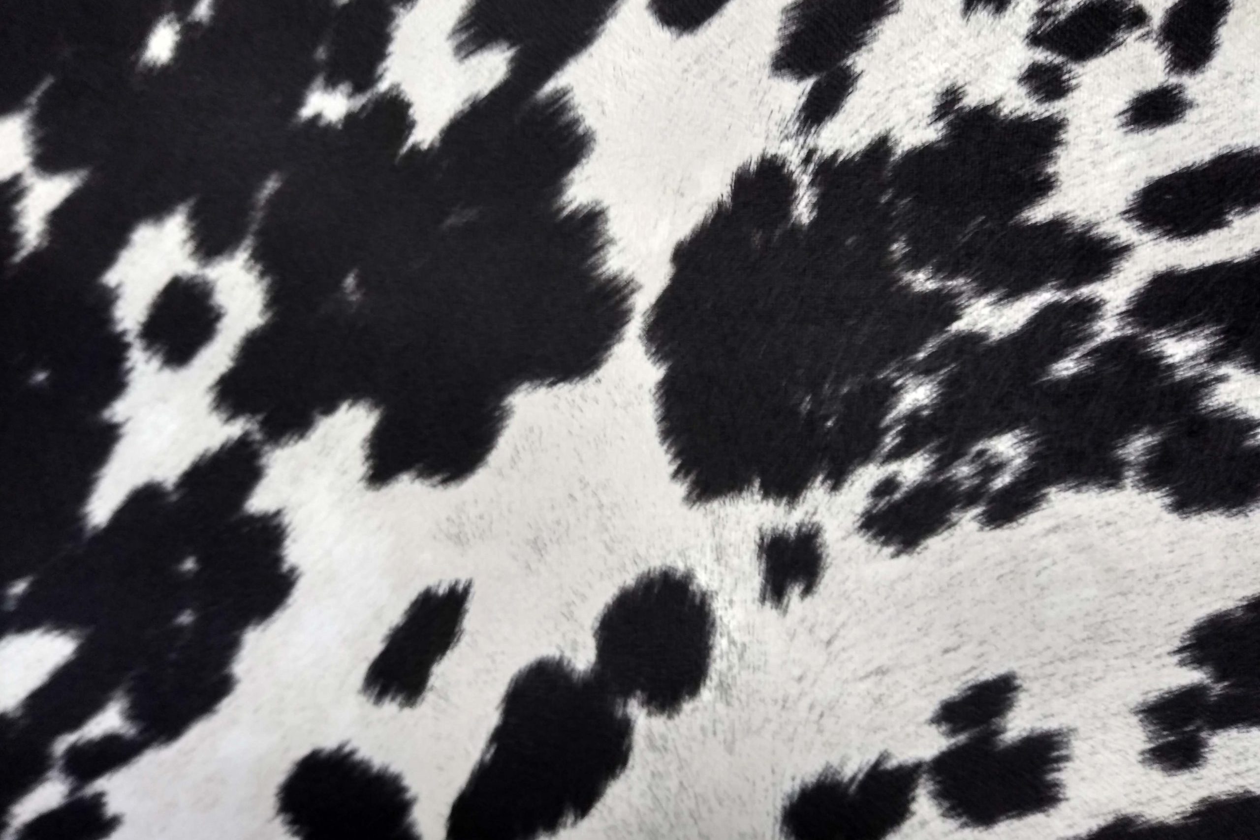 فرق بين جلد البقر و الجمل و الارشادات الصحيحة عند شراءها