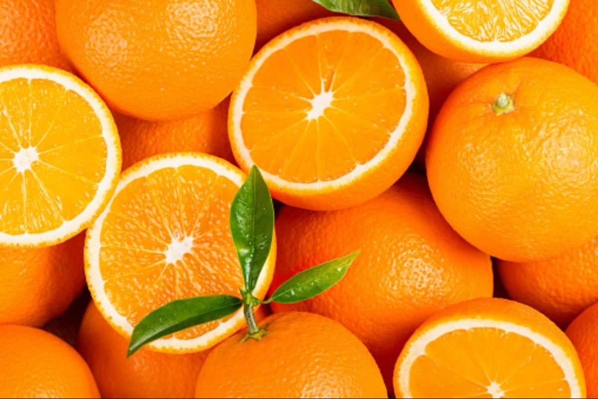 اسعار البرتقال في سوق العبور