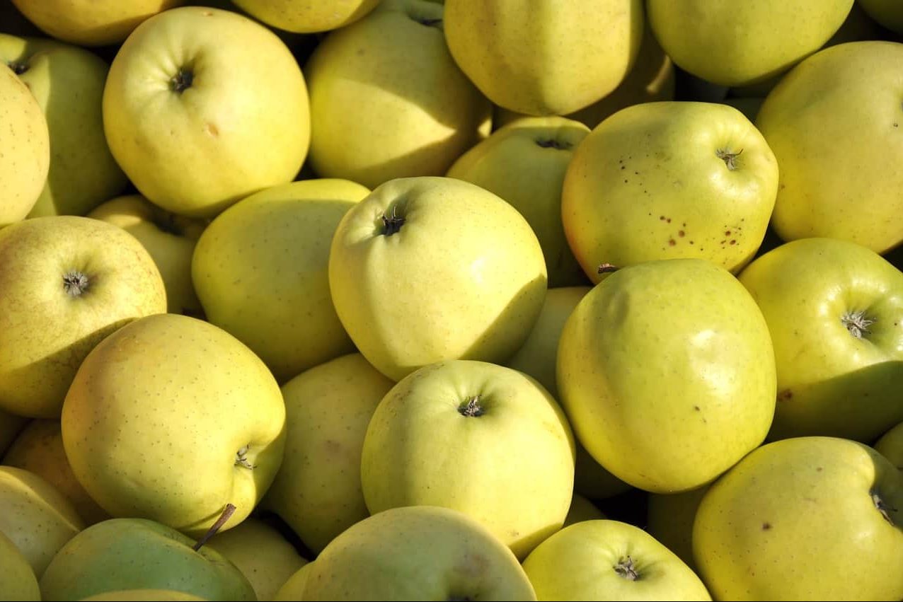 فوائد التفاح الأصفر للرجيم تعرف عليها قبل تناولها
