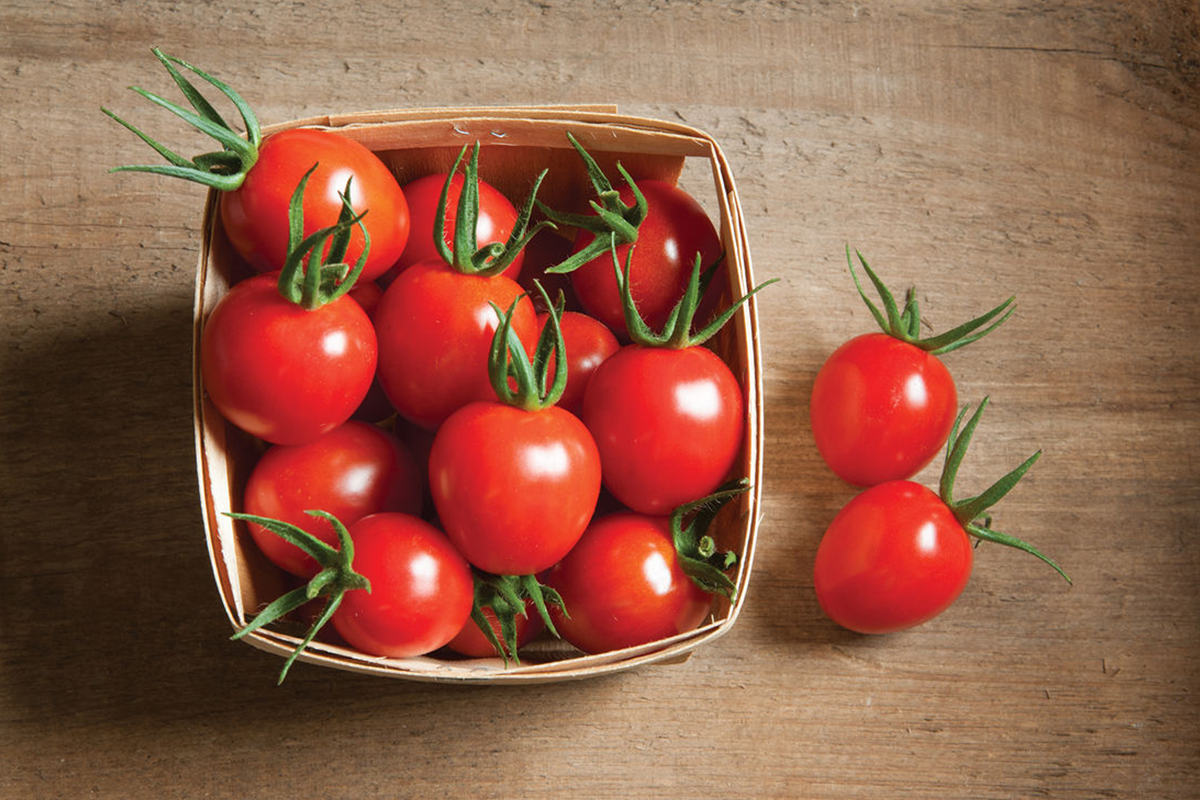  زراعة الطماطم الكرزية في البيت واستعملها في الوجبات الخفيفة والسلطات