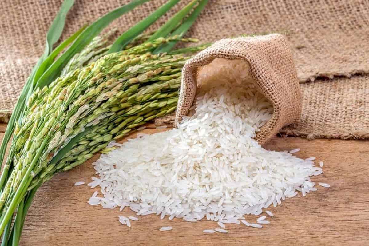 سعر الأرز الابيض اليوم