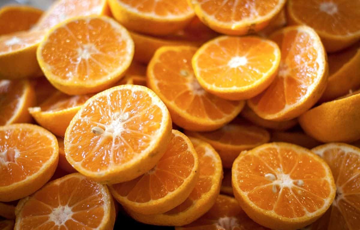 أفضل طريقة لتطعيم أشجار البرتقال الاصلیه لتصدیرها