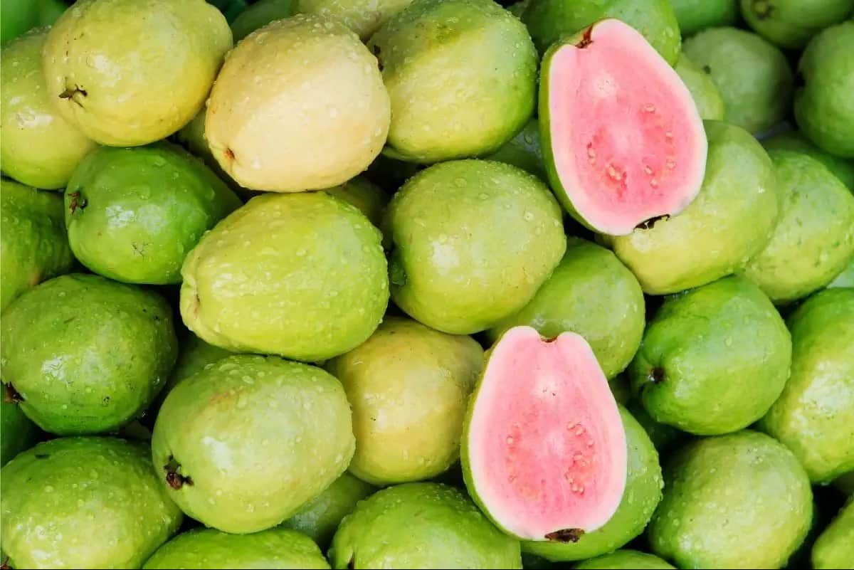 فوائد فاكهة الجوافة التي لا تخطر على البال!