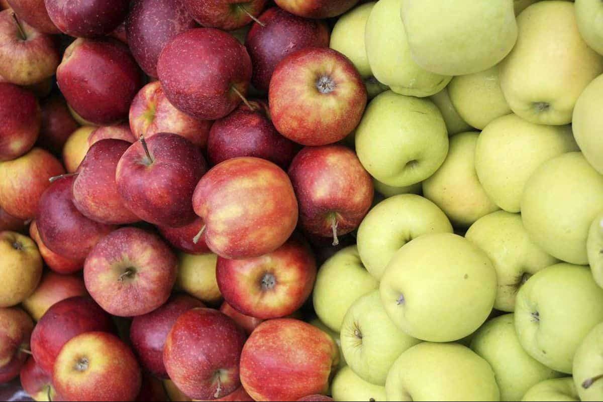 انواع التفاح في العالم وهل له فوائد سحرية