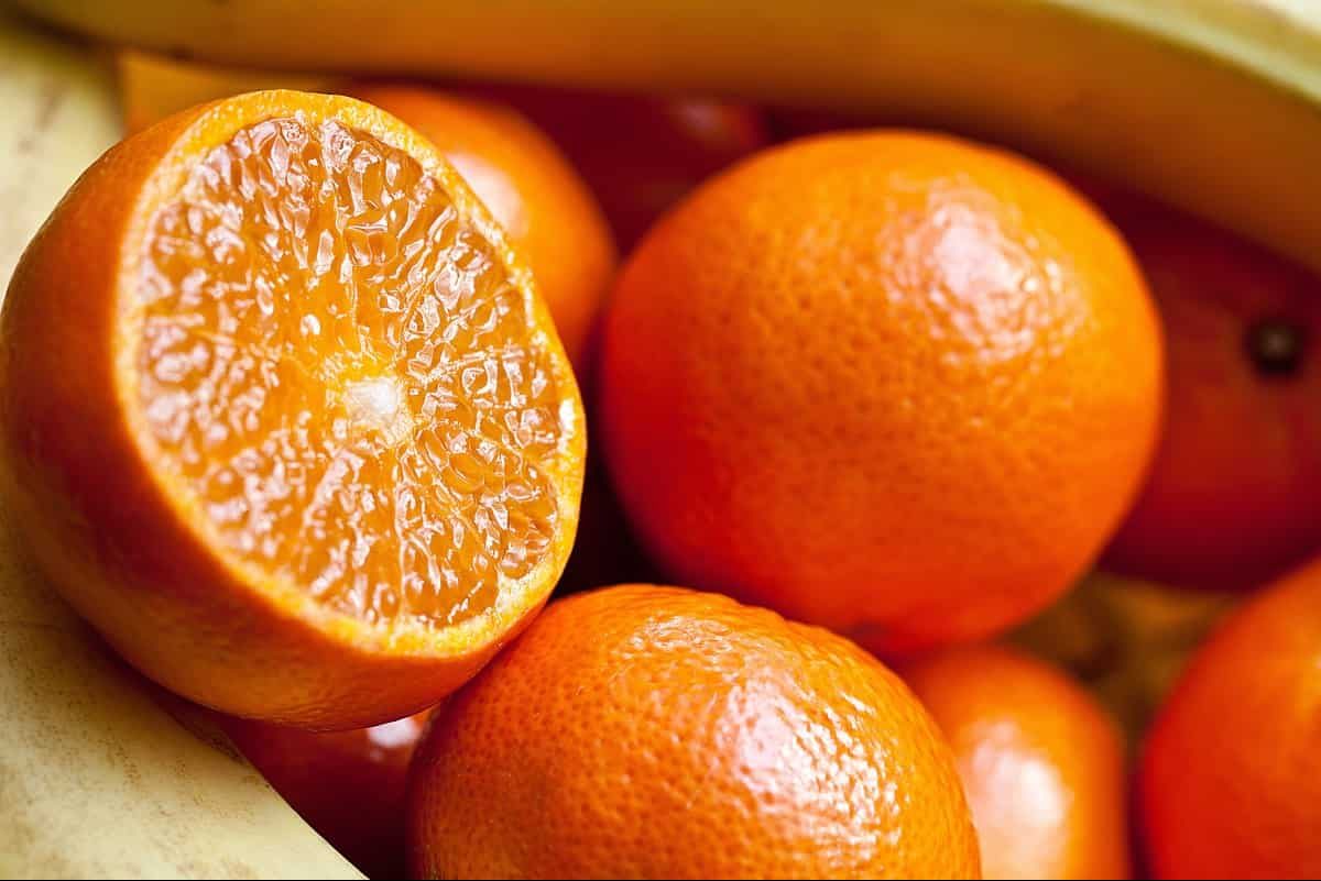 فوائد البرتقال للقولون و شرائه لسبب خواصه لرفع الدم