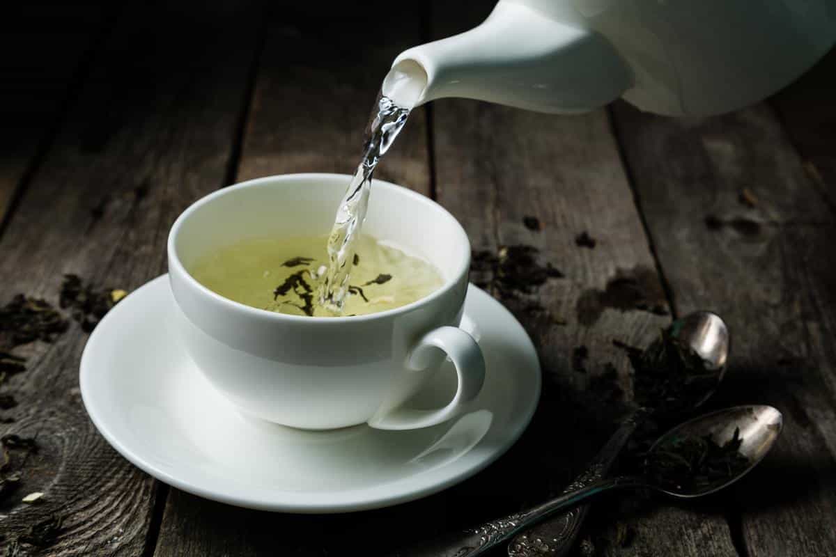الشاي الابيض للتنحيف الاصلي سعره وفوائده العامة