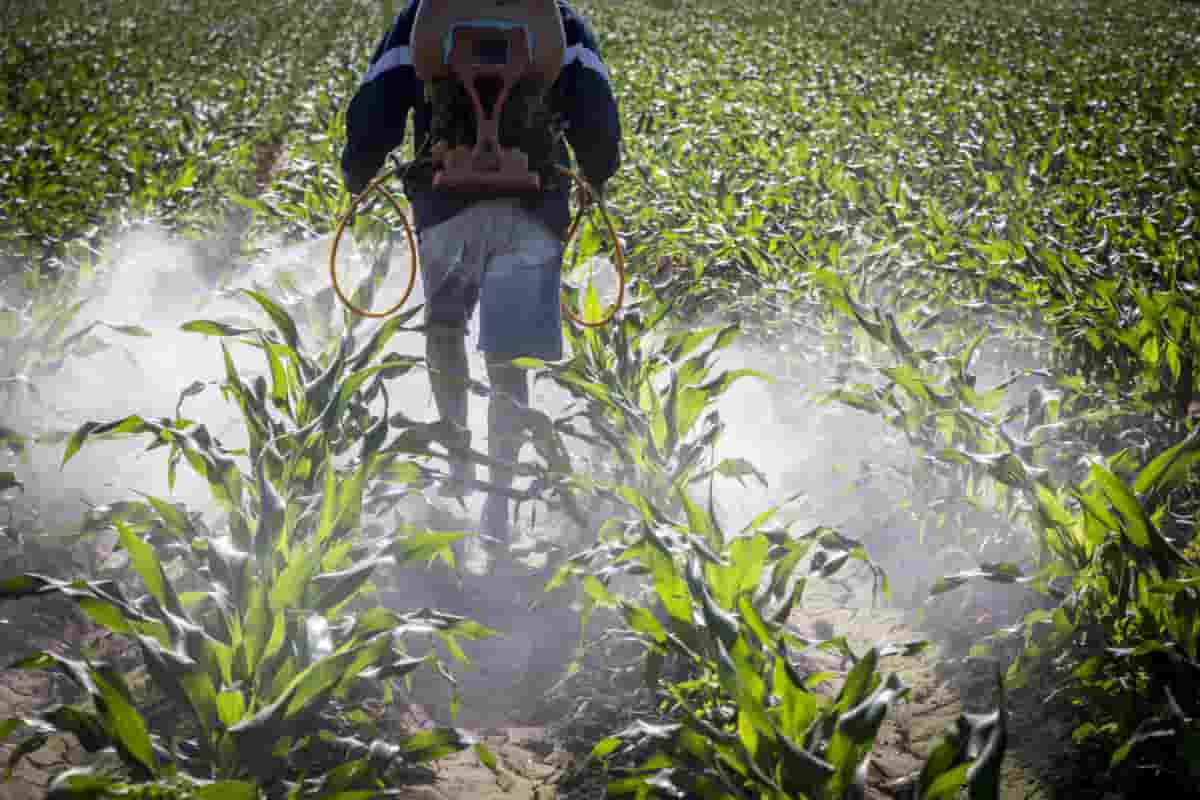 أنواع جهاز رش المبيدات الزراعية و أسعاره التنافسية في شرق الأوسط