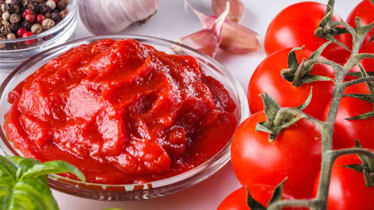التعرف على معجون الطماطم السعودية+ السعر الاستثنائي لشراء معجون الطماطم السعودية