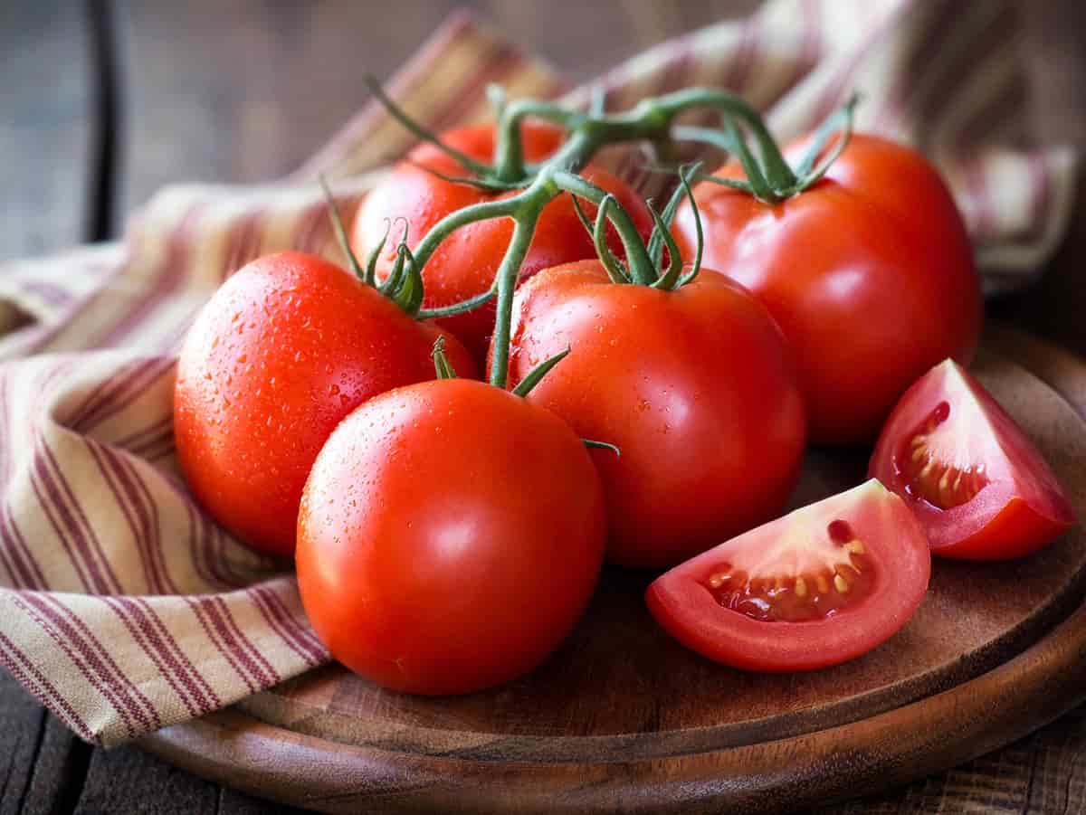 المفاوضات حول تصدير الطماطم عالي الجودة