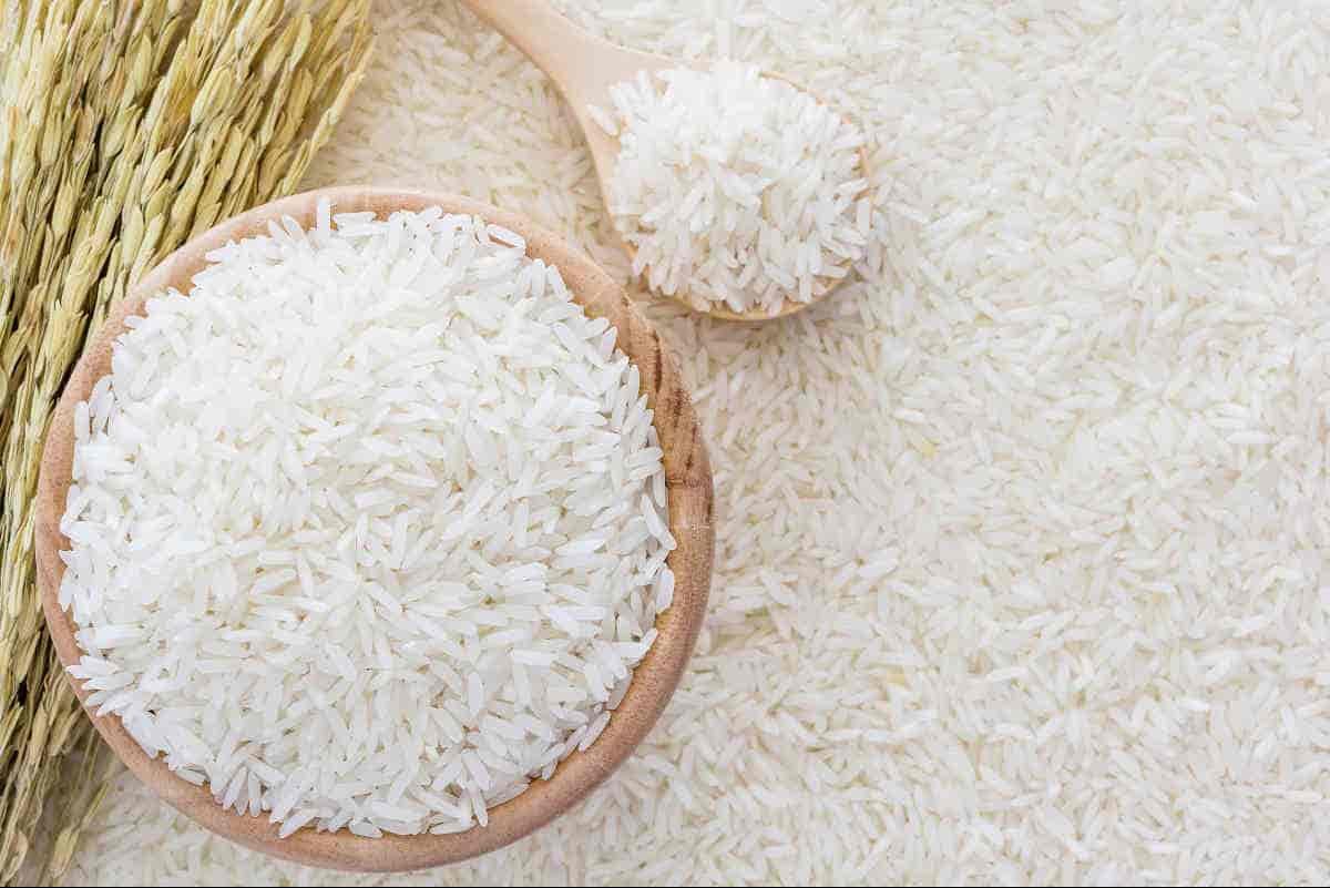 سعر كيلو سبيكة الأرز الابيض وخصائصه العامة