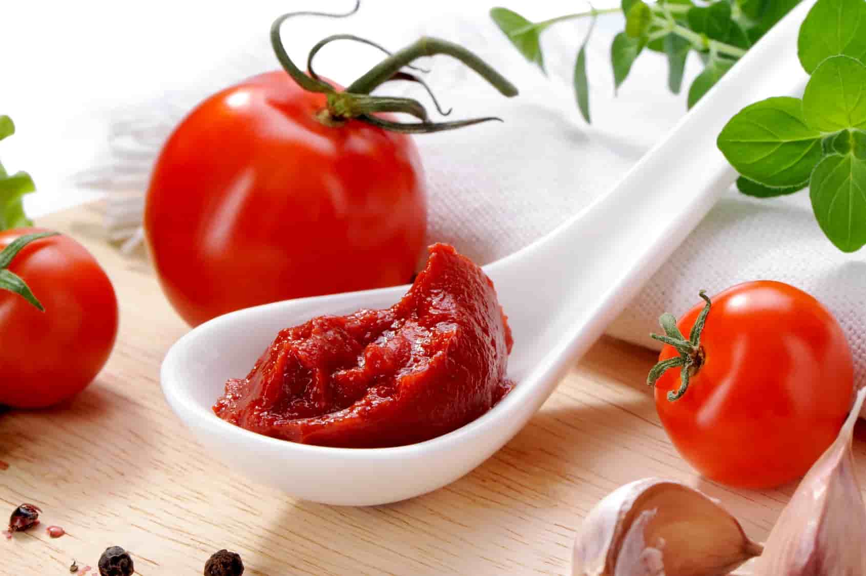 شراء وسعر أفضل أنواع معجون طماطم ايراني