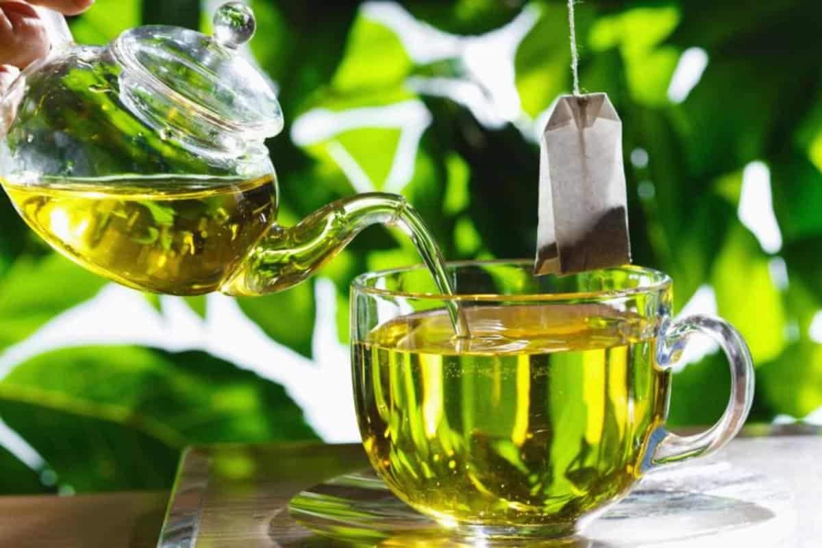الشاي الأخضر ليبتون (الياباني) يعالج أمراض الجهاز التنفسي يقلل الوزن tea