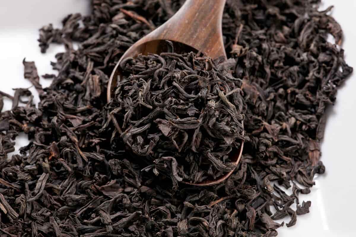 الشاي الاسود السيلاني؛ يحفز نمو البكتريا الضارة يحسن مناعة الجهاز الهضمي Tea
