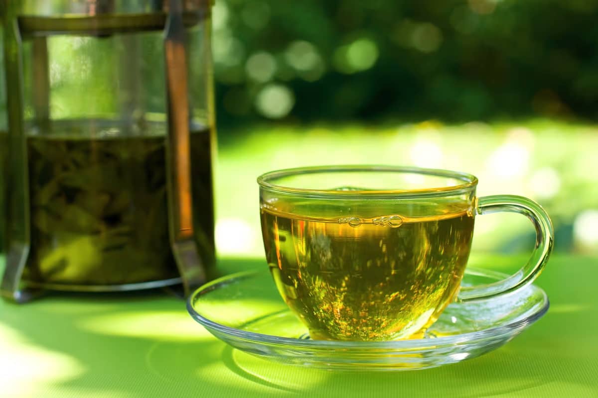 الشاي الاخضر في العراق؛ ينقص الوزن يحرق الدهون مشروب صحي tea