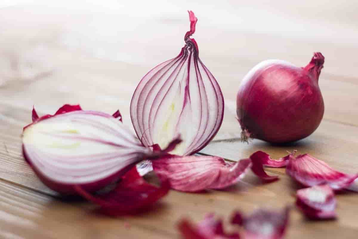 البصل الاحمر الايطالي؛ الأبيض يعالج بحه الصوت الانفولانزا التهاب onion