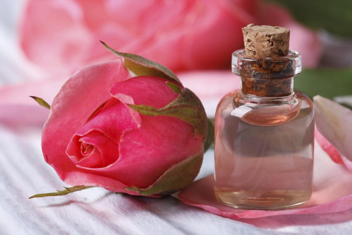 ماء الورد الأصلي (الزهر) عبوات زجاجية 2 استخدامات الحلويات المشروبات