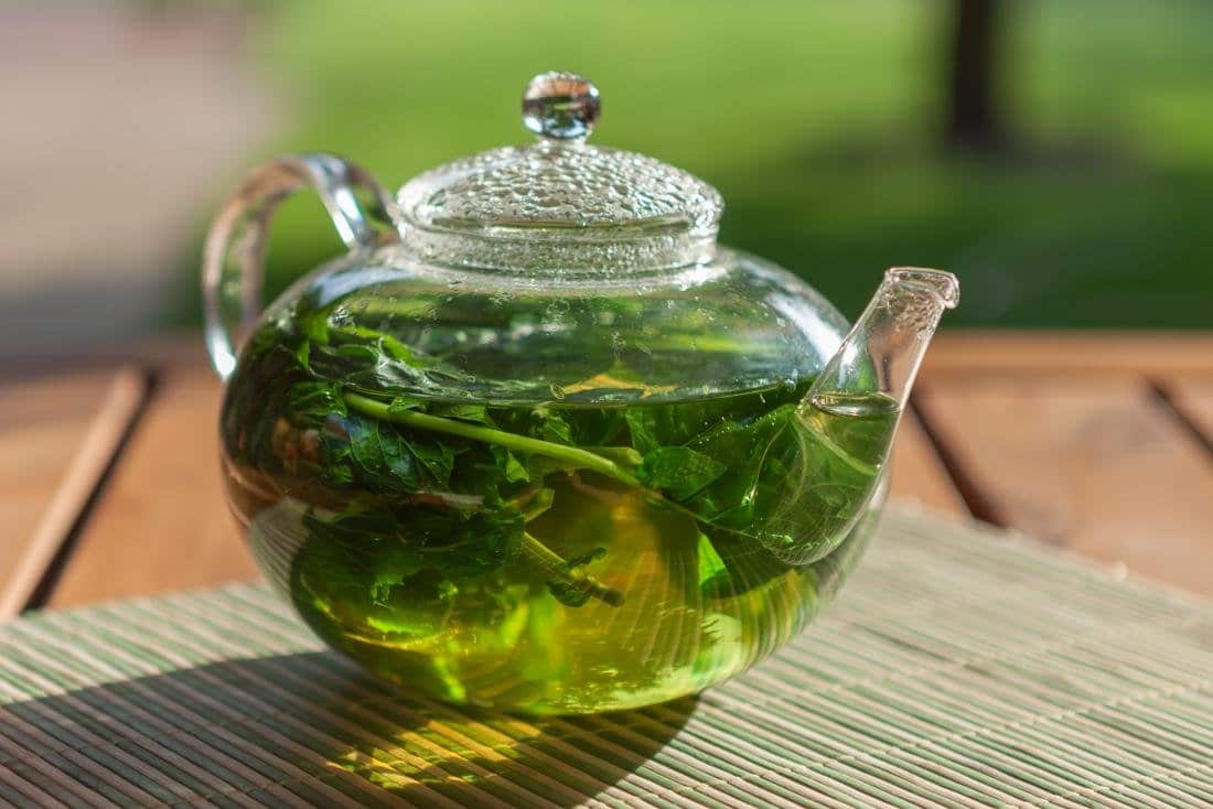 شاي اخضر ليبتون - 100 فتلة؛ علاج الصداع الاكتئاب محافظ البشرة