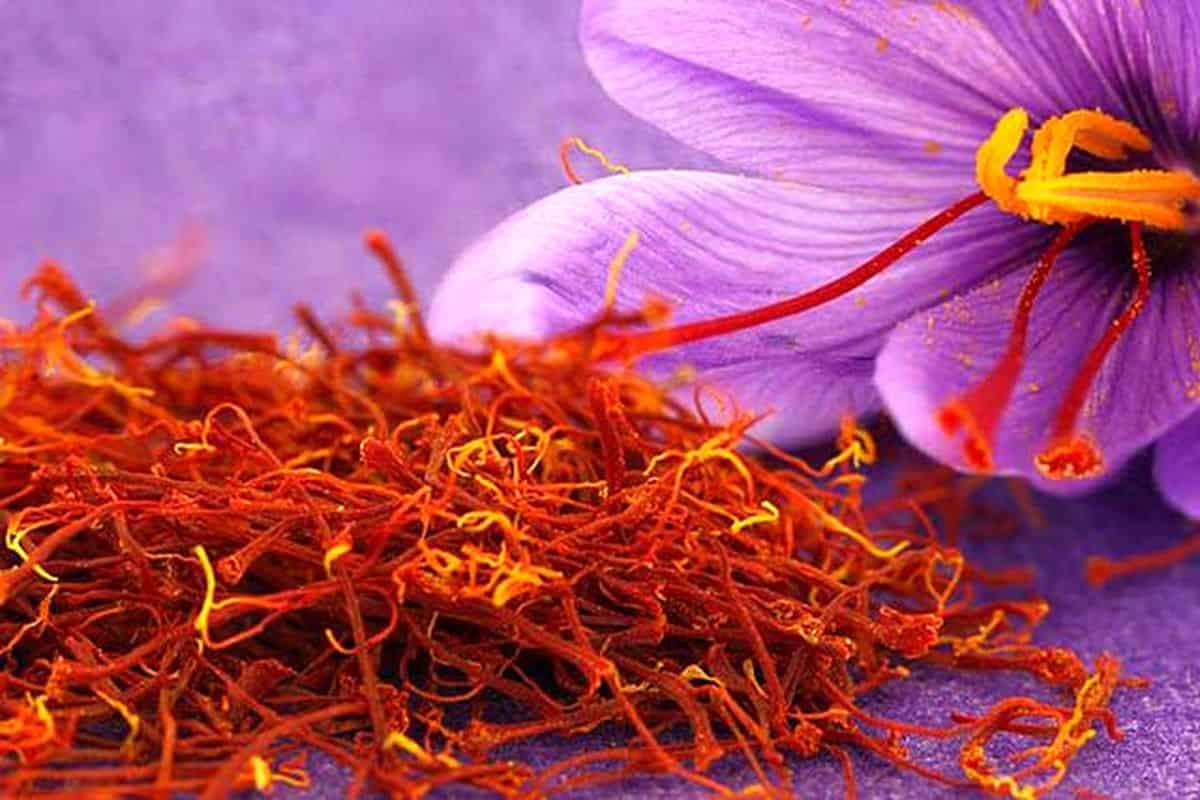 الزعفران الأصلي في السعودية؛ احمر درجة أولى saffron